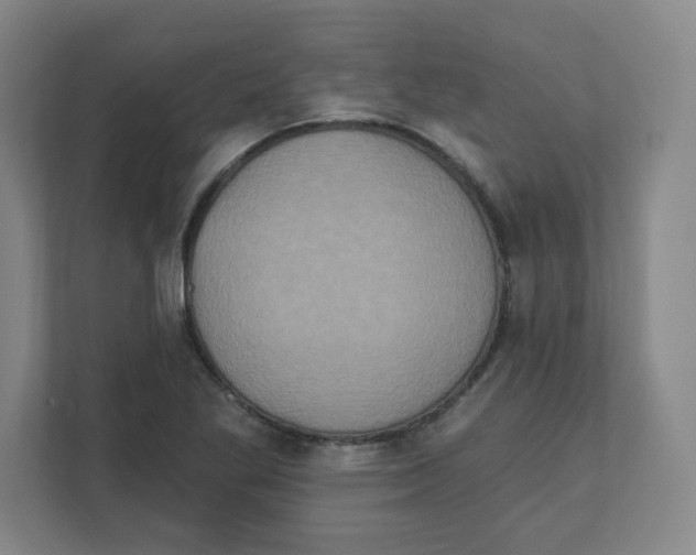 X0000111831269200908201143