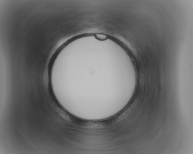 X0000111831270200908201143