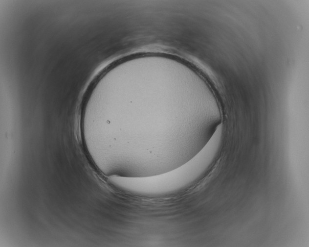 X0000111831272200908201143