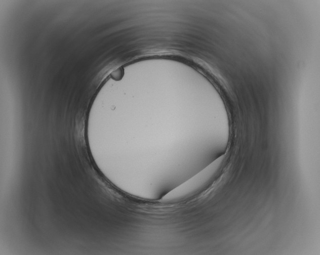 X0000111831273200908201143