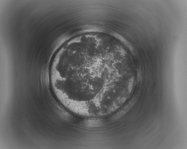 X0000111831274200908201143