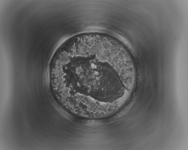 X0000111831275200908201143