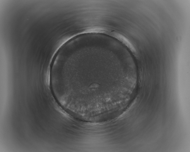 X0000111831276200908201143