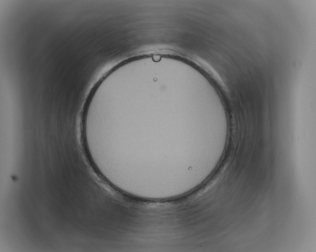 X0000111831277200908201143