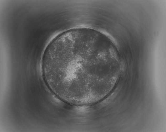 X0000111831278200908201143