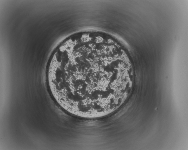 X0000111831279200908201143