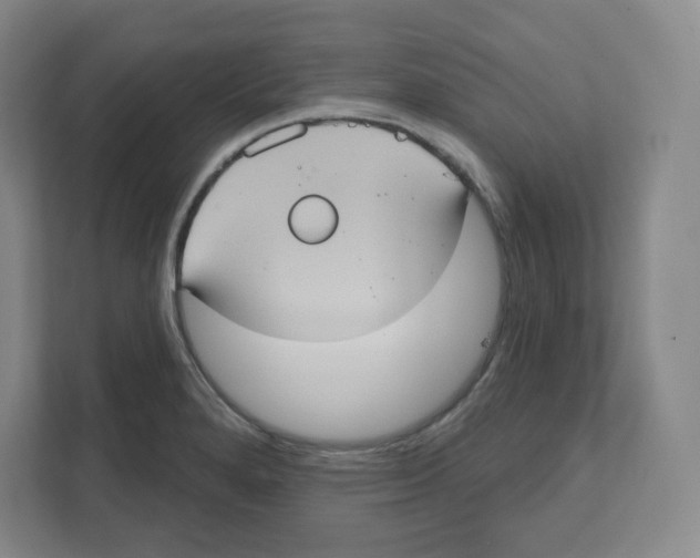 X0000111831280200908201143