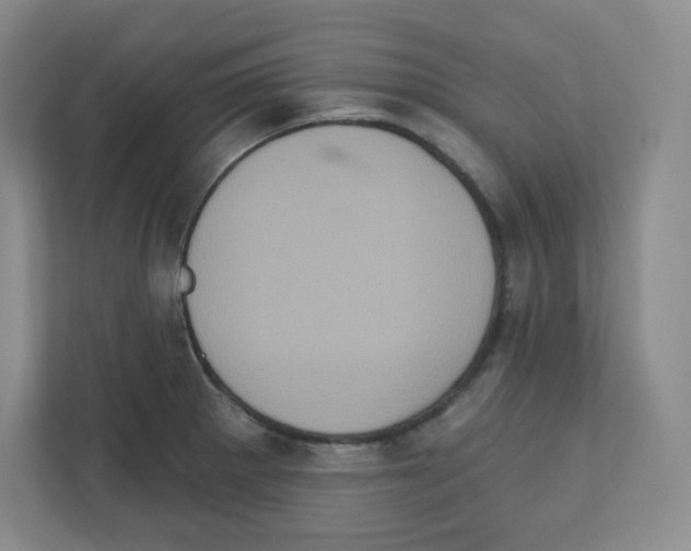 X0000111831281200908201143