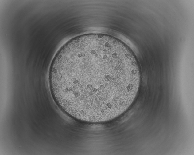 X0000111831283200908201143