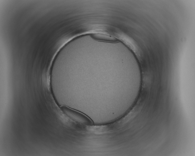 X0000111831284200908201143