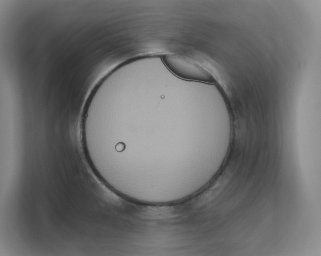 X0000111831285200908201143