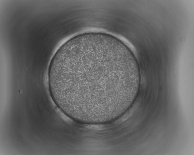 X0000111831287200908201143