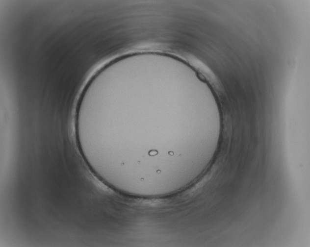 X0000111831288200908201143