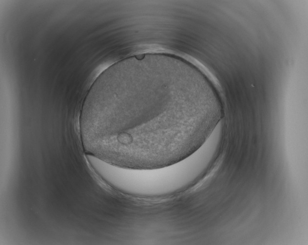 X0000111831289200908201143