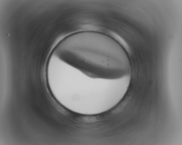 X0000111831291200908201143