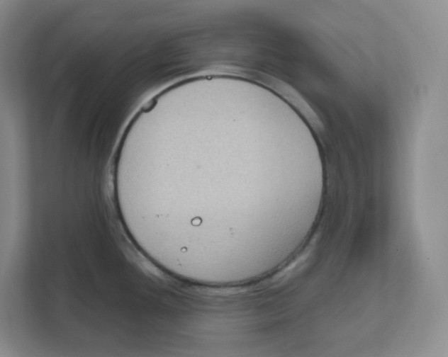 X0000111831292200908201143