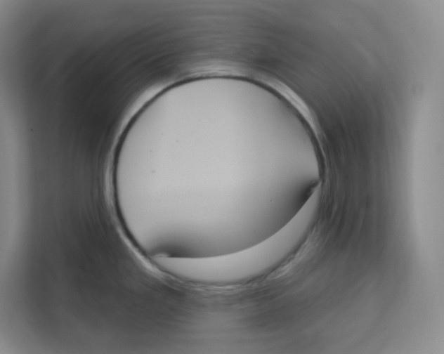 X0000111831293200908201143