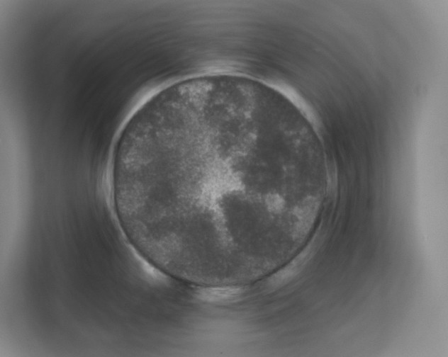 X0000111831294200908201143