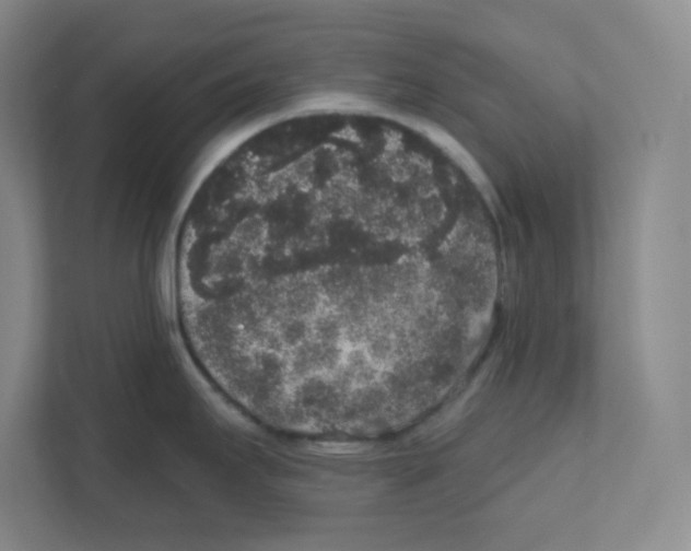 X0000111831295200908201143