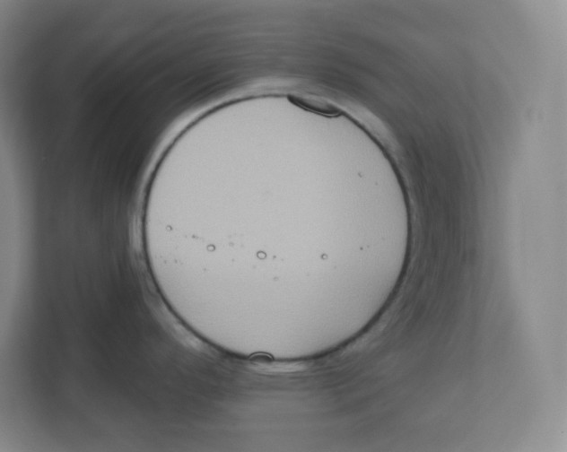 X0000111831296200908201143