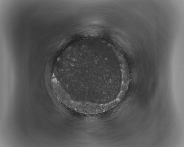 X0000111831297200908201142