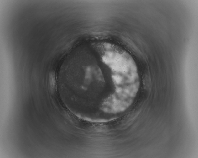 X0000111831298200908201143