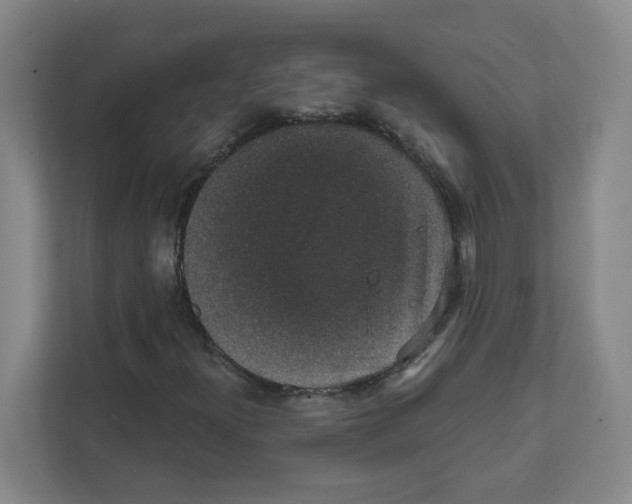 X0000111831300200908201143