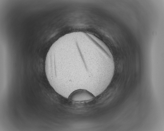 X0000111831301200908201143