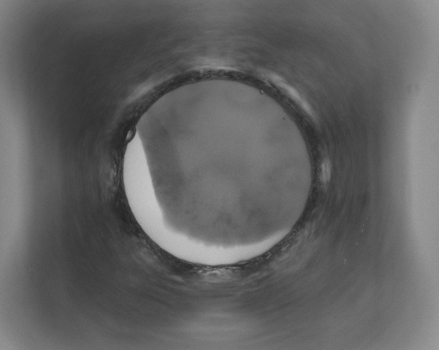 X0000111831303200908201143