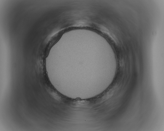 X0000111831304200908201143