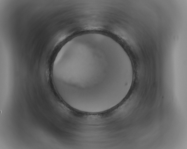 X0000111831306200908201143