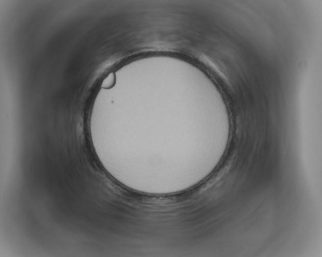 X0000111831307200908201143