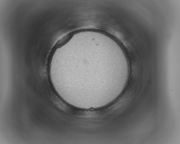 X0000111831308200908201143