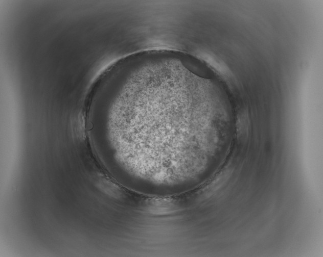 X0000111831310200908201143