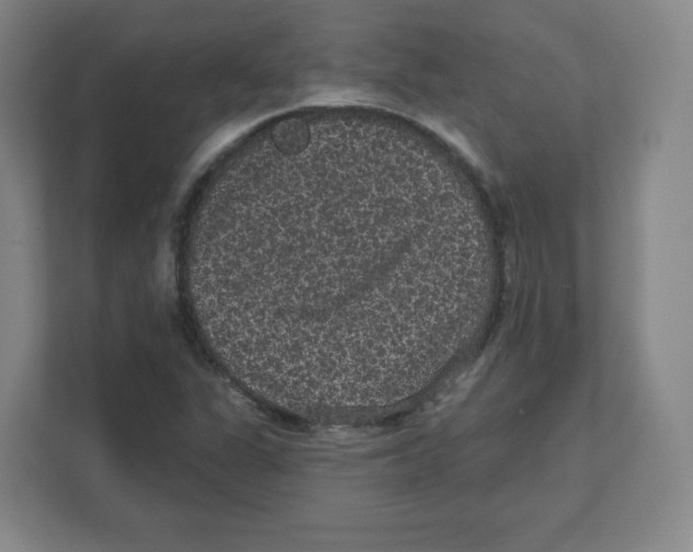 X0000111831311200908201143