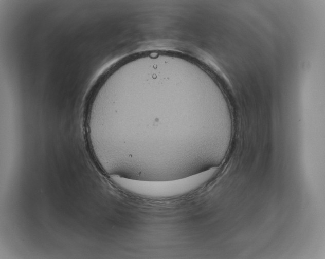 X0000111831312200908201143