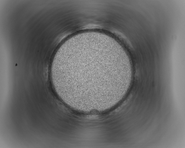 X0000111831313200908201143