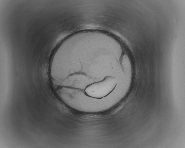 X0000111831314200908201143