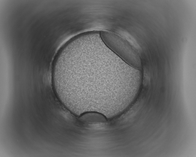 X0000111831316200908201143