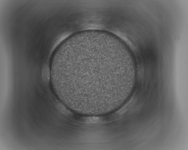 X0000111831317200908201143