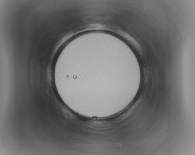 X0000111831318200908201143