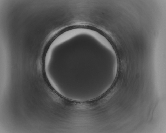 X0000111831319200908201143