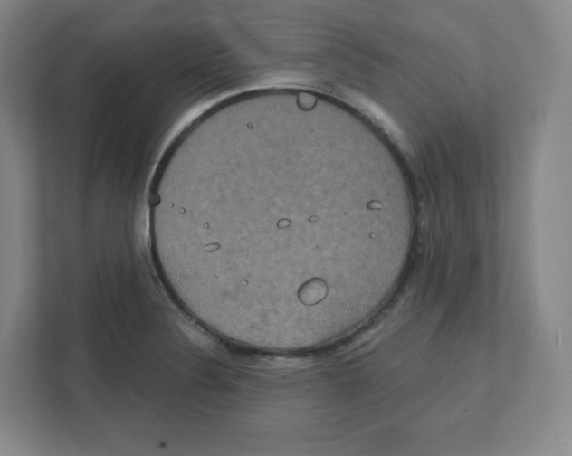 X0000111831324200908201143