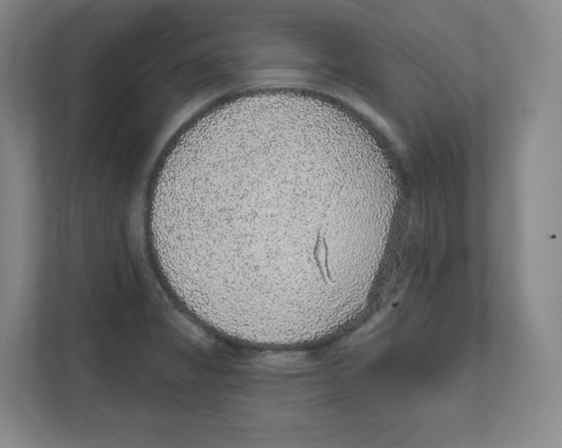 X0000111831325200908201143