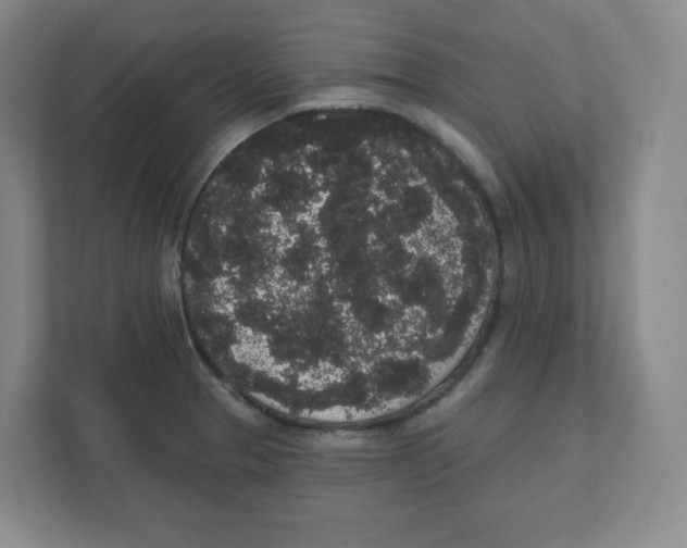 X0000111831329200908201143