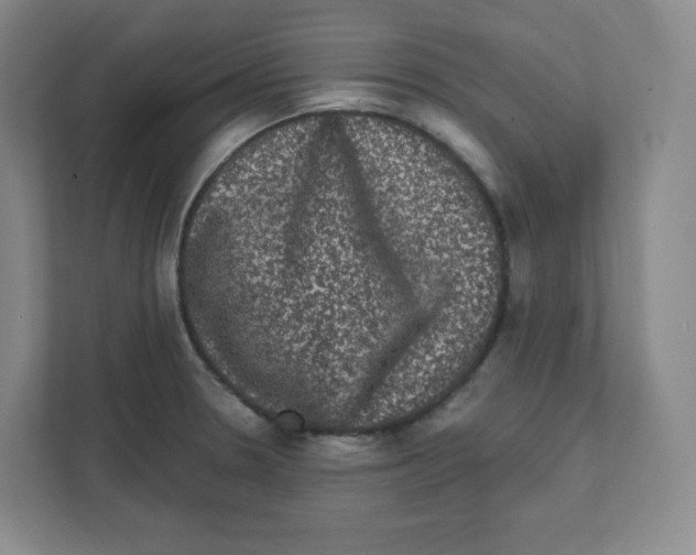 X0000111831330200908201143