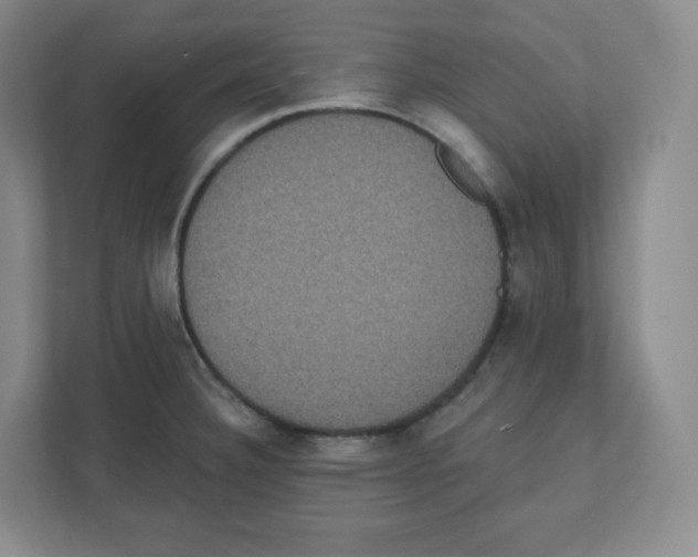 X0000111831332200908201143