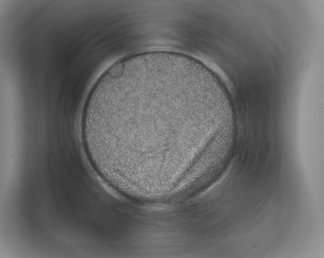 X0000111831333200908201143