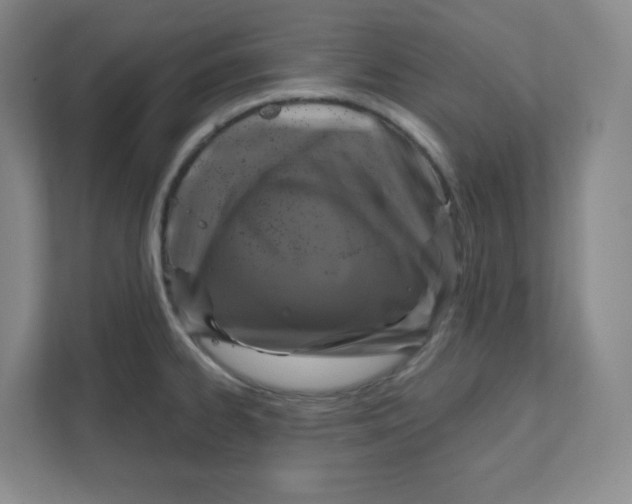 X0000111831334200908201143