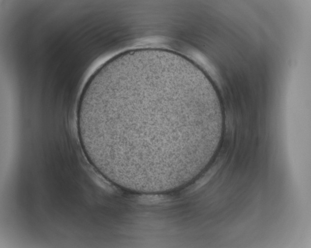 X0000111831336200908201143